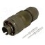 VG95234M-10SL-4PN Connector: military; plug; male; PIN: 2; VG95234; 22A; straight z2DqiEICKtG4MJHAGsz75Ojfl9ZwBJ599I7AxoN0OpU