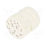 7003912102 Connector: M23; contact insert; PIN: 12; female; for cable; 8A; 200V NXuxM1kMqxCtkfzZgOddqkbNnVlu4Yc6Z_8ajVY-BZI