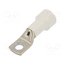 BM05149 Tip: ring tube; M12; Ø: 12.5mm; 95mm2; crimped; for cable; insulated xpqQGbo_SvNe515mru50OcXPkYmiL8XYSQMN4LMQfr8