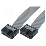 CAB/IDC10FF-100 Connection cable; Pitch: 2.54mm; L: 1000mm; ribbon 1ggFZ7ZcsjP3NwW0x9gOOcY4pCQeVcZ34E7Pz-8Hs20