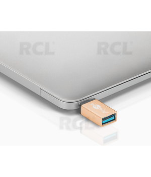 ADAPTERIS USB-C (Type-C) > USB 3.0(F)

 CPEK008+1.jpg