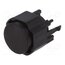 K12PBK15N Switch: keypad; Pos: 2; SPST-NO; 0.1A/30VDC; none; THT; 5N; black; K12 awg3CHVgvDJqyeixiXcv3t5jyd8ngLP-I9GBzEAHRnU