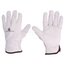 FBN4908 Protective gloves; Size: 8; natural leather; FBN49 3Az1F1YZ3g8unN4jNDiHnNkfWQKKb7-gcz9WPxmm1sA