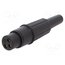 APF CP3003 Connector: XLR; plug; female; PIN: 3; straight; for cable; soldering lIMN-Tl2NjI4tybNgpNUlbfy3huen6ecCzBjabuZNo4