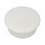 10060629 Stopper; H: 4mm; push-in; Flange dia: 12mm; white; Ømount.hole: 10mm DCYEXcNinpNcNF7OVmrcBeYGoigknXA97BxnkHMLPgU