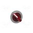 ZB4FK1243 Switch: rotary; 30mm; Stabl.pos: 2; red; ZBVB,ZBVG,ZBVJ,ZBVM; IP66 vgEP9cJj_qMETuK6RgxZ4J8WULZhcEIQGIyQYkCK_Ck