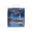 LLX481BLX2 Filament lamp: automotive; P14,5s; 100W; 12V; dark blue; RALLY KkyudNCMOy6q8WhKWlSaKT7fkWhCgiAEpWnmbYZQZE8