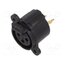 CP300284G Connector: XLR; socket; female; 5A; PIN: 3; straight; soldering,THT D_rziq8m-Ii688nYnarNl-hKUq9iR57RzA_KDaoY2gk