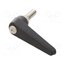 GN 101.1-18-M8-20-SW Lever; adjustable; Thread len: 20mm; Lever length: 62mm; GN101.1 39ciPn5UVs1WSQRPl2LFk5Hk7qmIgOauqjE8IrS_GAk