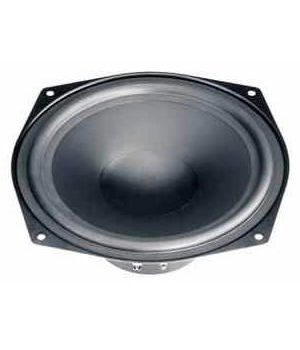 WOOFER WS20E 4Ω

 GAVSZWS20E.jpg