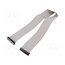 DS1052-01-502B2NA206001 Ribbon cable with IDC connectors; Tape ph: 1mm; Contacts ph: 2mm bcjsTUhv4KGvtA7GPLxPvWY8Ax_rIhONCJ65x1F3BrU