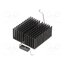 375024B60024G Heatsink: extruded; grilled; BGA,FPGA; black; L: 40mm; W: 40mm P0QSIG3tGdp7OavBIo275Wq020kP2NJc2ftzOiO7YlI