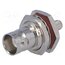 H3183A COPPER Connector: BNC; socket; female; straight; 50Ω; crimped Up3Pnf-I7tXxQIESJgT-6QRFj5EjLBDA8t_GtEjvK5g