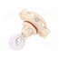EB0188SB Filament lamp: automotive; PG20/1; PS19W; transparent; 12V; 19W SlzUXXVWAwGE-eTRTIp0v7H9UnUQZBPLAQukzi0RVl4