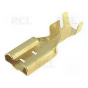 IZOLĒTS TERMINĀLS Sieviete 9,53x1,2

 CAD09FG.jpg