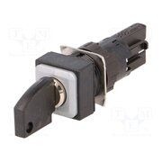 Q18S1R Switch: rotary with key; 16mm pdmUAdOF2g0JQN8b1IYZKLy9-UCfsBQM1mXwCbr2huY