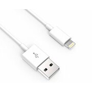 USB uz 8-pin iPhone kabelis, 2,4 A, 1 m

 CKAMIP5B.jpg