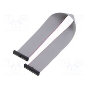 FFSD-17-D-10.00-01-N Ribbon cable with IDC connectors; IDC,both sides; 254mm; 10" H6GPrExf40a4X379s1VL6zIl34TdfXcK_hhTyW4PiMs