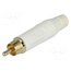 ACPR-WHT Connector: RCA; plug; male; straight; soldering; white; gold-plated rGYtxzvoJ12XihsHnI6Jm6SzdJYO4Lb7hGD1u9igEt4