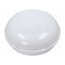 D.3175RM-BN-20W Lamp: LED lighting fixture; PANDA LED; polycarbonate; 4000K; IP65 ML0Y9e7BH9capC4L0ejXN4CgGNr8OLWkX378dxwLX30