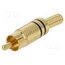 1573 01 V SCHWARZ Connector: RCA; plug; male; with strain relief; straight szlejJttqfvn9tqA3ewjtUMKScLmMyVMvlbsdZe6CJQ