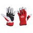 783929800073 Protective gloves; Size: XL; leather,spandex uO03clhF0ZLYpFiBz9rK-1QYAM4yhyOvTbbqbY5wmas