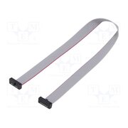 FFSD-07-D-10.00-01-N Ribbon cable with IDC connectors; IDC,both sides; 254mm; 10" 6hBHbZ3H29voTq1gmlhHl04oGdk_U3HSMnZvdGPUsx0