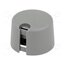 A1024638 Knob; with pointer; plastic; Øshaft: 6.35mm; Ø24x16mm; grey; A10 81wcnJnuAR6TlisVCa3CR0Tbuu5x2N5StlNOWxSy_ug