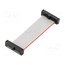 FFSD-11-D-02.00-01-N Ribbon cable with IDC connectors; IDC,both sides; 50.8mm; 2" EtyS9d7FEmYlYlEFXlkYbONW4LPKvglFrgDREtnACWo