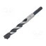 0018801300100 Drill bit; for concrete; Ø: 13mm; Ø: 1/2"; L: 150mm; metal; blister PUkopqf6VfABGetPCP_nMxFBwlRNQozrkGSMxoBXbJk