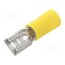VDADF5.5-250A YE (S)(LF) K Terminal: flat; 6.3mm; 0.8mm; female; 2.5÷6mm2; crimped; for cable cbAGaU22T09Iw5mF2_KRCWqjFs1rCto0Bv_IvPJ0ZDc