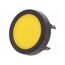 1241.1104.7091 Switch: push-button; Pos: 2; SPST-NO; 0.125A/48VDC; OFF-(ON); IP65 O1SNP2X4PLX3mSLF62eMemGYuORQSunToo902tdtVuw