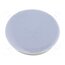 334.664 Cap; grey; Mounting: push-in; plastic JpqcSbHPcOuce7kO2q2Agz_KqJOAAwtMMOrP74D3Ej4
