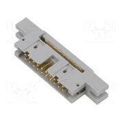 7100234302 Connector: IDC; plug; male; PIN: 20; 4600; 1A; IDC; for ribbon cable k48aS4wusGC7zDLrKVM_V0bJgDF87VvyGzh-Qa88FRM