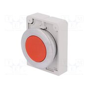 M30C-FD-R Switch: push-button; 30mm; Stabl.pos: 1; red; none; IP67; RMQ-Titan lzlSk584pdkxar_GKtbUR6J1IZjciTIhVVZmlhQQeLY