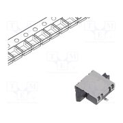 ESE31R11T Switch: detecting; Pos: 2; SPST; 0.01A/5VDC; 500mΩ; 0.39N; 1.7mm cvrHamPtZorDZ5oEcC0gTdvvYncDy789pLMUuH80do8
