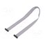 FFSD-10-D-14.00-01-N Ribbon cable with IDC connectors; IDC,both sides; 355.6mm; 14" 8mfULk-_NveDl13OyKwP8Ij0csEp4BQoyi3FKWhvxQE