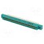 307-022-501-102 Connector: card edge; PIN: 22; 307; soldering; 3.96mm c-C6uXcWPgZ8xNWNSoFqCsBxaJ_jBpzBmvz5oBSDV2M