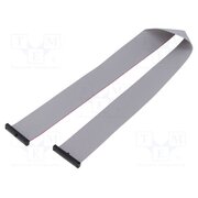 FFSD-20-D-17.00-01-N Ribbon cable with IDC connectors; IDC,both sides; 431.8mm; 17" uvYccBWK-DSTf6--6zYs99Ormow07PDhEaIxqgRFIGg