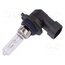 LLB9005 Filament lamp: automotive; P20d; 60W; 12V; transparent; LLB; HB3 0no8sveW0i_WKdlkQQNrayCBN3WTnkPdCzDXjYpl0LI