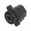 ACJC6HLBULK Connector: Jack 6,3mm + XLR; socket; female; stereo; angled; THT fKRWQxx59T6wCvRvMjG3eRruR2VOjnaqHqxVXcF1cyI