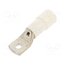 BM00831 Tip: ring tube; M6; Ø: 6.4mm; 50mm2; crimped; for cable; insulated ikDgBA5Oyh-aItpqHIEGPCJJz0cUvgGA4QLe-5UMvJ8
