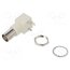 RF1-500-6 Connector: BNC; socket; female; angled; 50Ω; THT; POM; gold-plated -lf3PCk3Y4ScANss-ij-2AfxvAWPHc4vmf79JiG05m4