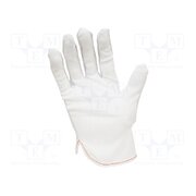 509-0003 Protective gloves; ESD; L; polyester,PVC,carbon fiber; white DO6GA8DlM67Gd-Uevu4JHdsSfocG-cgmoVSHlJJsjdE