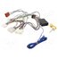 C5537PAR Cable for THB, Parrot hands free kit; Citroën,Mitsubishi K4BMMjqkM5yt_1WfSmbH-rFmAHIPzjvZH8kIutYxhu0
