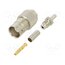 100023420 Connector: BNC; socket; straight; 50Ω; crimped; Contacts: brass Sm8wWOi-48-Q6MulU-5sfM8_lyBhjvWAhuXsm6JPUmw