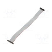 FFSD-15-D-10.00-01-N-SR Ribbon cable with IDC connectors; IDC,both sides; 254mm; 10" F6fUDSLfB2sanp8g3pVKqdUTzjLbdvf1KR_sJ2ajpyQ