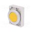 M30C-FD-Y Switch: push-button; 30mm; Stabl.pos: 1; yellow; none; IP67; Ø30.5mm GPY1jz_u8mu2FmnEGFV9LR-3gVYtWKpnKCgeckXRvPE