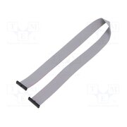 FFSD-17-D-20.00-01-N Ribbon cable with IDC connectors; IDC,both sides; 508mm; 20" eHVexO_PTFXeT0Norn11R49VPXLVvnqx3b6GKdSYtQQ