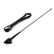 CAR ANTENNA flexible universal 002 IANA702.jpg